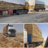 تبن كبسات • عدد مفتوح • واصل بابل بغداد