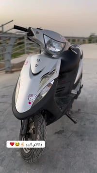 ماكس عدله • كفاله عامه • المسيب