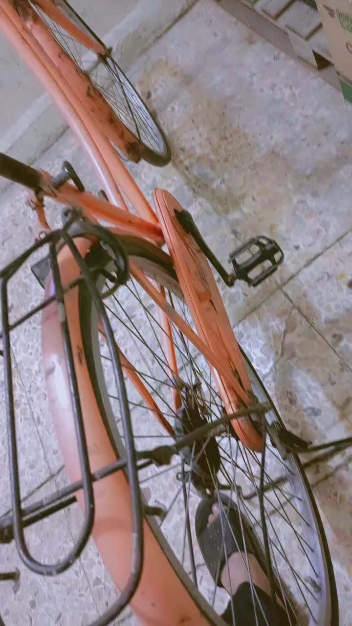 بايسكل للبيع مكاني كاضميه توصيل ماكو سعر خاص بناتي حجم 26 لون 🍊


**إذا كنت صاحب هذا الإعلان وتريد حذفه لأي سبب، رجاءا أرسل رسالة إلى الدعم الفني**