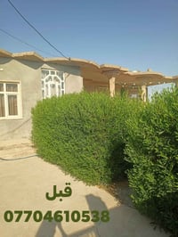 تقليم نخل • تكريب نخل • خدمات تقليم • تقليم اشجار • تنظيف نخل • نخل • ...