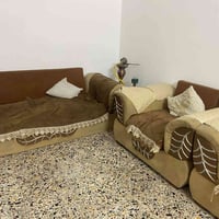 تخم البيع مكاني بغداد سعر خاص الرقم 07738362675