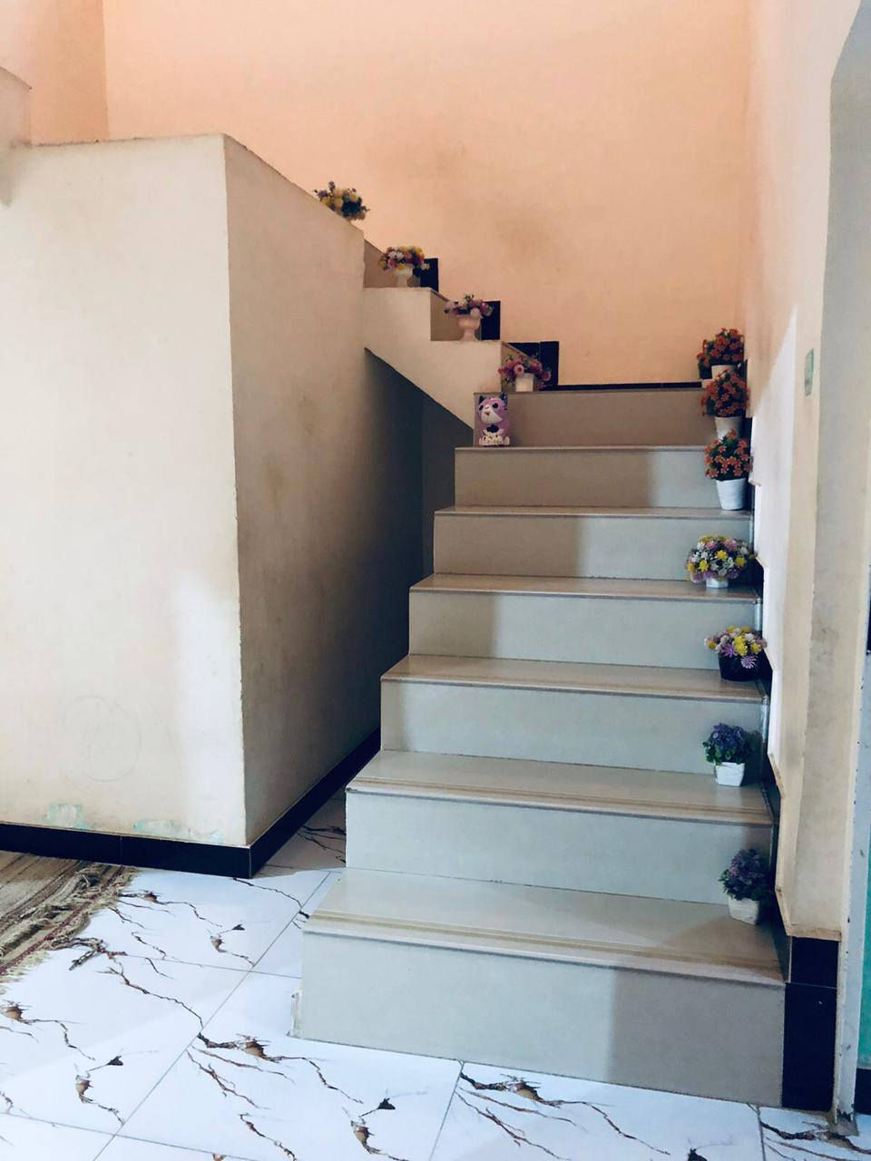 بسبب لوعود الكاذبه. بيت  للبيع  زراعي مساحه 300  يحتوي على غرفتين نوم صاله صغيره مطبخ أستقبال  صحيات خارجيه داخليه   جاهز سيراميك جدران وارضيه لاتصال فقط ***********
واتساب فقط ***********
العنوان الكرغوليه تقاطع النهروان منطقه الخنساء
