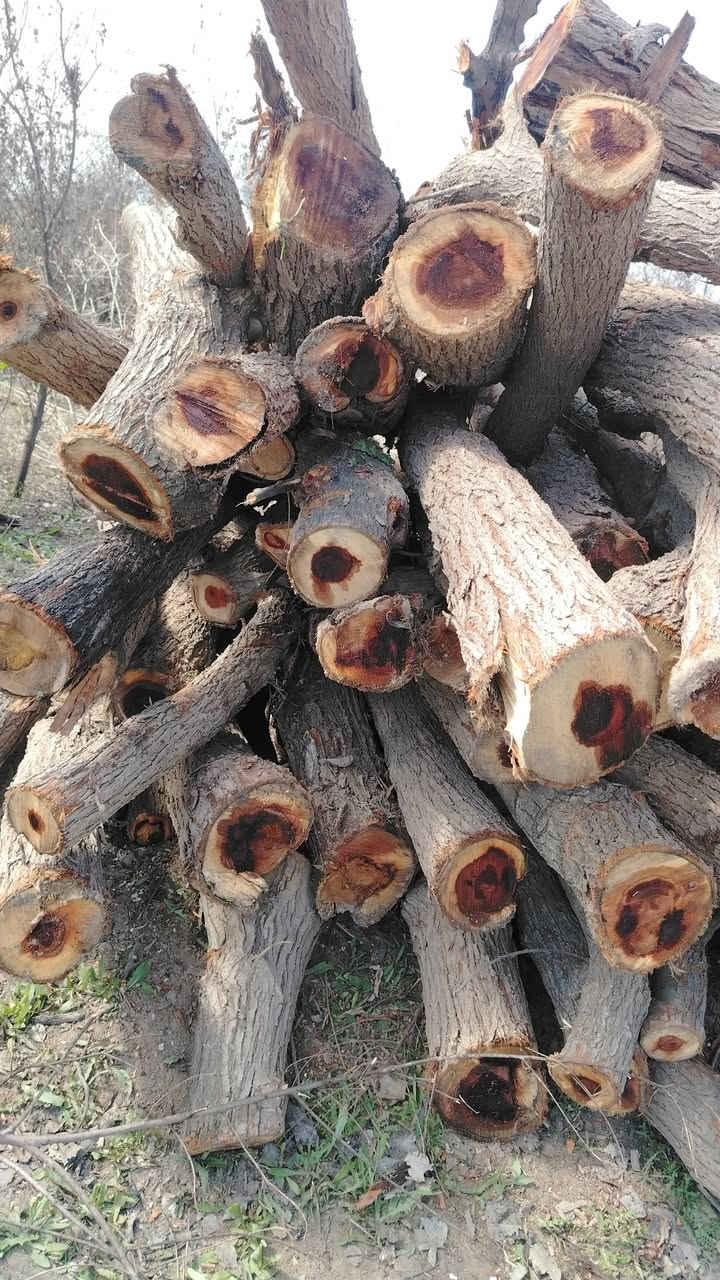 السلام عليكم
يوجد خشب كرامي حمل كنتره
المكان اسديره
الاتصال +9647827672793


**إذا كنت صاحب هذا الإعلان وتريد حذفه لأي سبب، رجاءا أرسل رسالة إلى الدعم الفني**