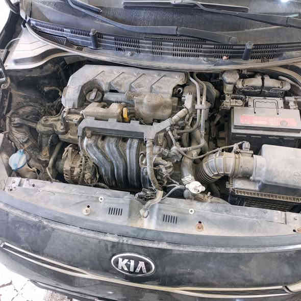 أدامة ريو  دبل نوزل 8 بتاريخ الثلاثاء 2025/11/25
تنضيف غرف الاحتراق بمادة قشور الجوز الطبيعية 
تنضيف النوزلات +المسطرة+ واشرات خارجية
تنضيف حساسات الكام شفت 
تنضيف حساسات منضمات الزيت 
تنضيف حساس الماب سنسر 
تنضيف الجويتر مع البرمجة 
تبديل بلكات أرديوم سبورت 
تنضيف الدكشن البارد 
فحص الفيت بم وخط الراجع اكترونيا بالجهاز 
فحص المجاول خارجيا بجهاز متخصص 
تنضيف سطح المحرك بفوم خاص مجدد 
برمجة السيارة بالكامل وخلوها من الاعطال كافة 🌹 

مركز المصطفى 
بأدارة مصطفى الموسوي 
سيارات الاربعة سلندر 50 الف 
سيارات الستة سلندر 60 الف 

العنوان السماوة حي الاعلام شارع السيراميك مقابل العالمية للزيوت مجاور معرض الخفاجي للانشائية 
***********
