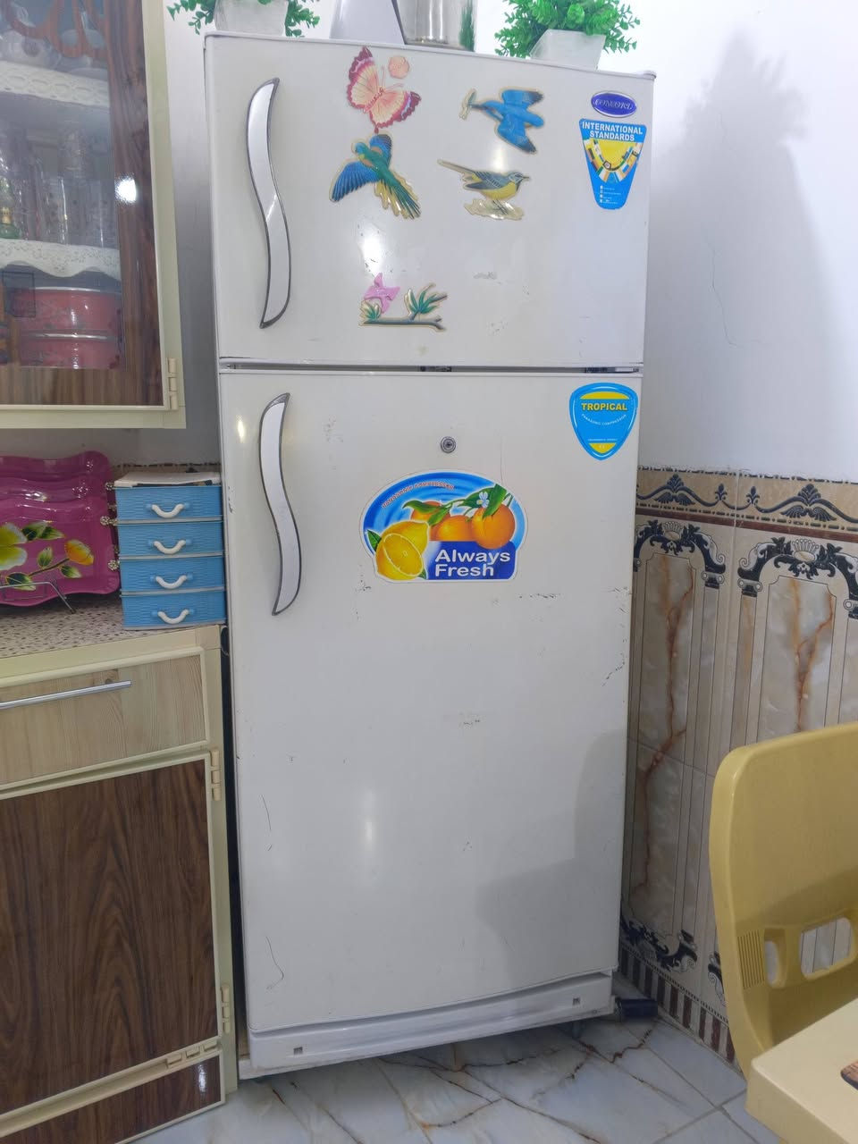 سلام عليكم اغراض منزل للبيع
كاونتر نضيف جداً سعره 225 وبي مجال
ثلاجه نوع كونكورد حجم كبير سعره 325 وبيه مجال 
للأستسفار خاص او اتصل ***********
