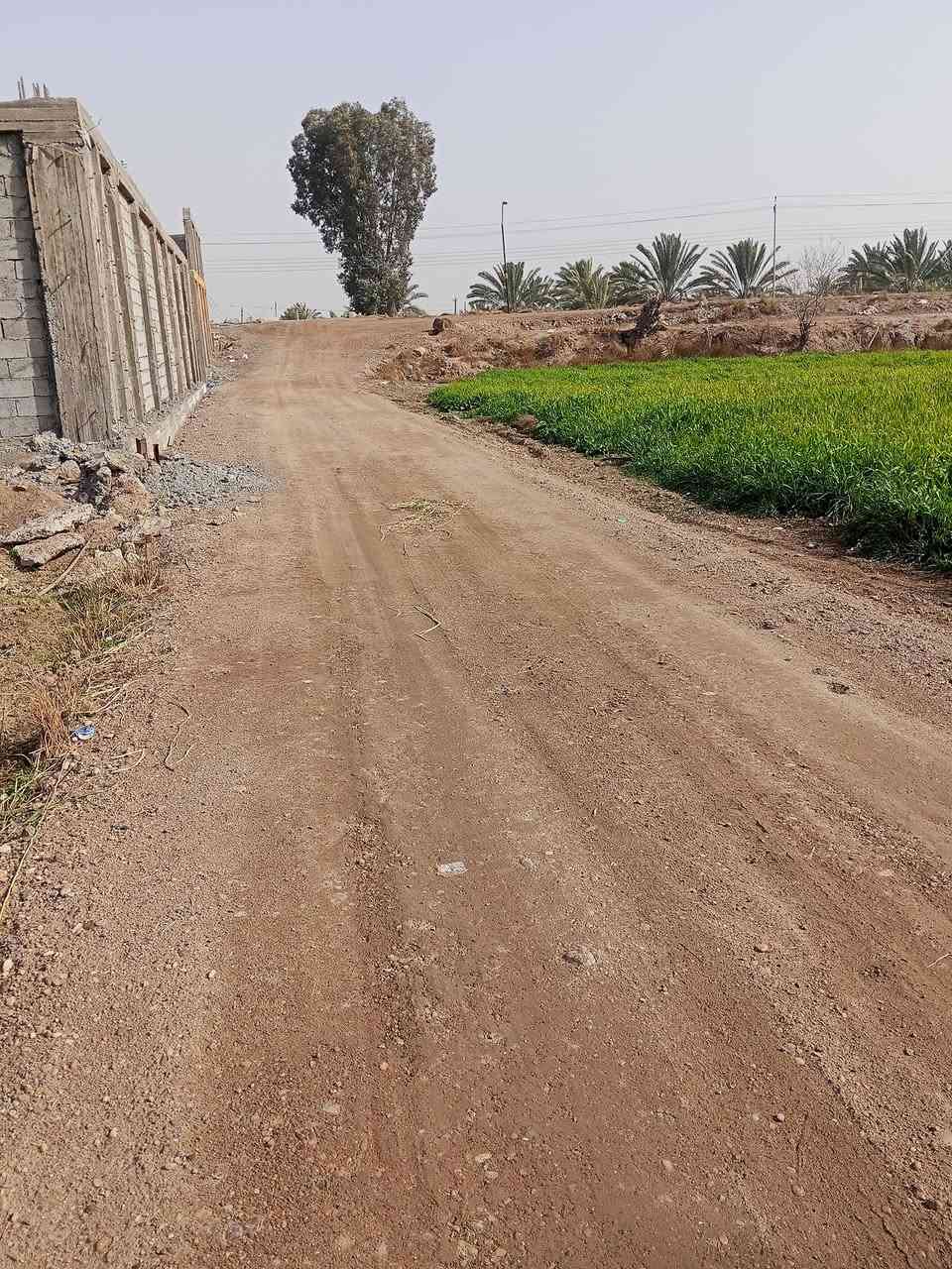 دونم البيع في ابو غريب منطقة البعامر  خدمات كهرب ماء شرب ومدارس ومستشفى يبعد 5 دقائق  رقم الهاتف ***********
