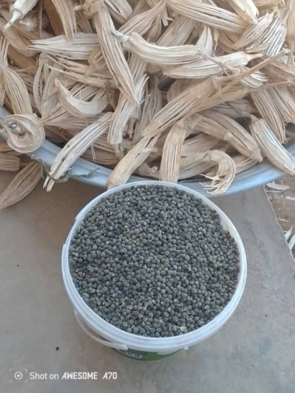 السلام عليكم
يوجد بذور باميه للبيع درجه اولى نفس الي بالصوره شرط النظافه والزراعه ابيع نوعيه حلوه ومفلسه ع ايدي خوش باميه امانة الله ورسوله مال الديره وابيع مكفول شرط الزراعه 
للأستفسار الإتصال على الرقم التالي...
***********
أو مراسلة الصفحه خاص واني خادم
