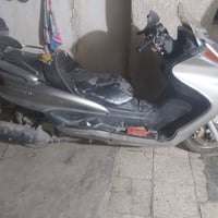 ماجيستا • دبل • شغالة