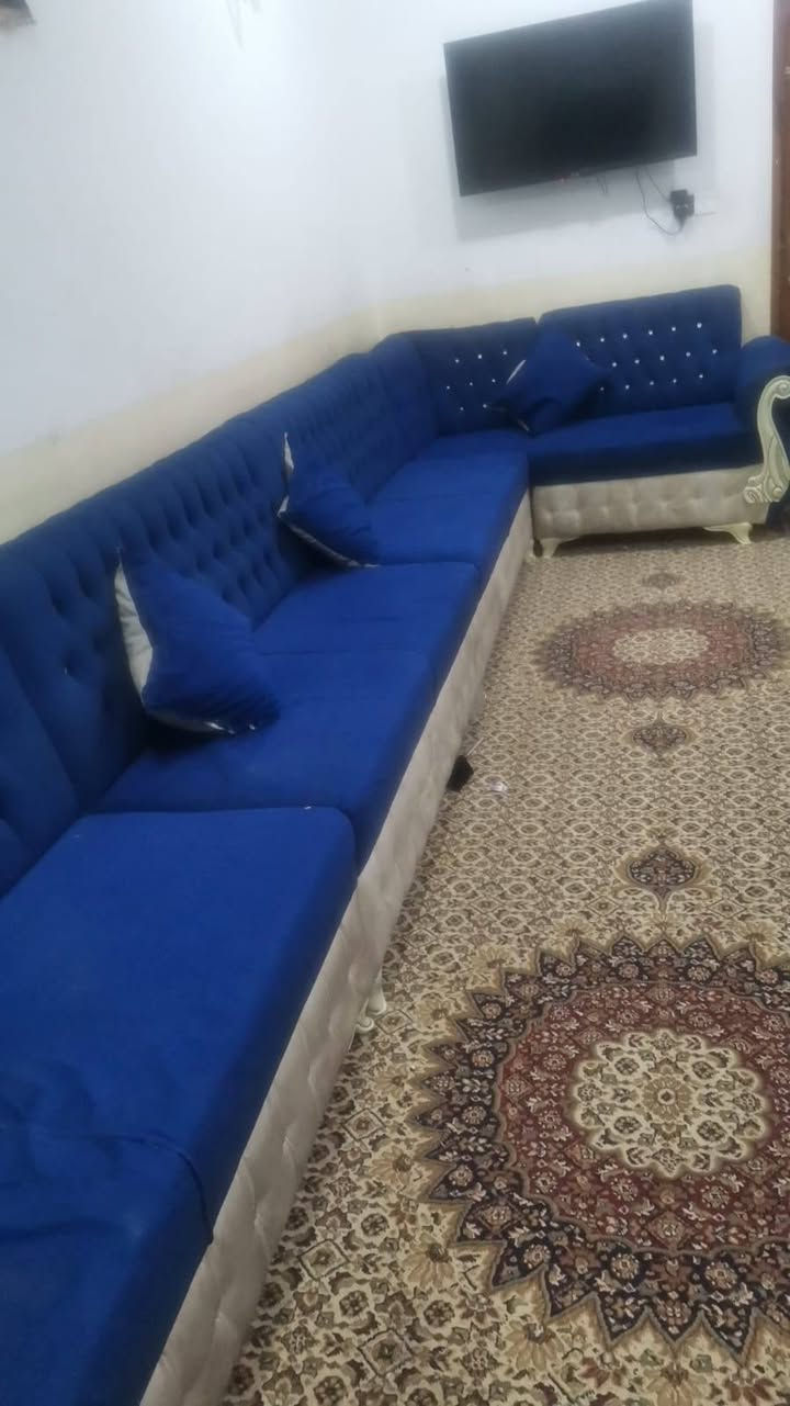 تخم تزكام للبيع النجف الاشرف النصر السعر 450وبي مجال ***********
