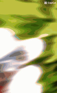 جزعه حجر نادر مشروط بذمه مخطوط حرز سيد علي القاظي وأصباغه مااسولفلكم ع...