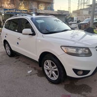 رقم سليمانية • فول • ٧ راكب