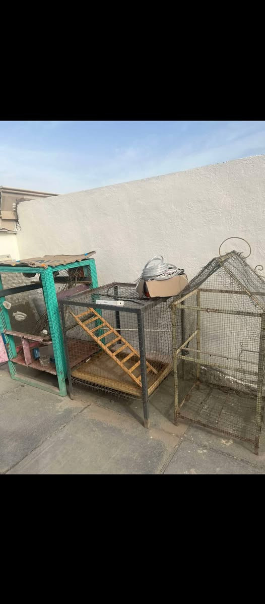 غراض مستعملة نضيفه عنوانهن بغداد الدورى✨ الميز ب٥٠ و✨الكنتور ب٣٥ و✨القفاصه تلاثتهن بب٤٥✨ البنكات الوحده ب١٢ ✨الجزامه المنيوم ب٥٠ و✨وميز تواليت ب٥٠✨


**إذا كنت صاحب هذا الإعلان وتريد حذفه لأي سبب، رجاءا أرسل رسالة إلى الدعم الفني**