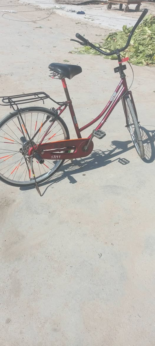 سلام عليكم شباب عندي باسكل البيع مكان بصره زبير سعر خاص نتصال*********** علاوي
