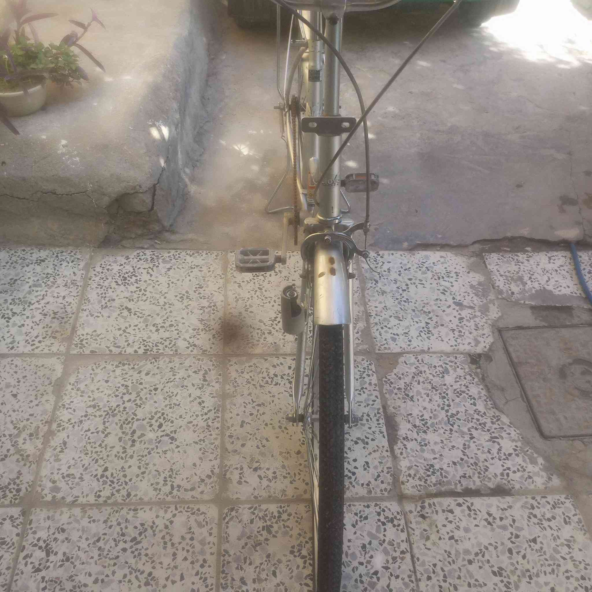 السلام عليكم باسكال البيع سعر 60
المكان البياع الشرطة الخامسة قرب شارع المدارس
***********
بي واتساب
