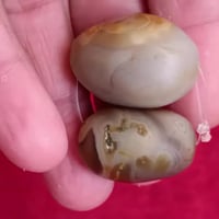 قيم • مضمومات