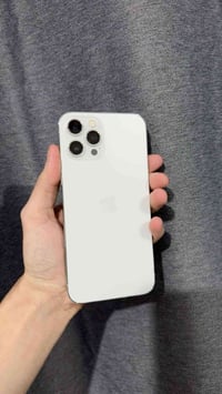 آيفون ١١ برو ماكس