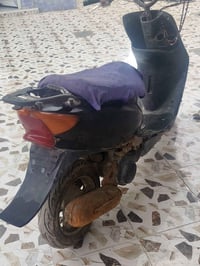 عصفوري • دراجة • للبيع