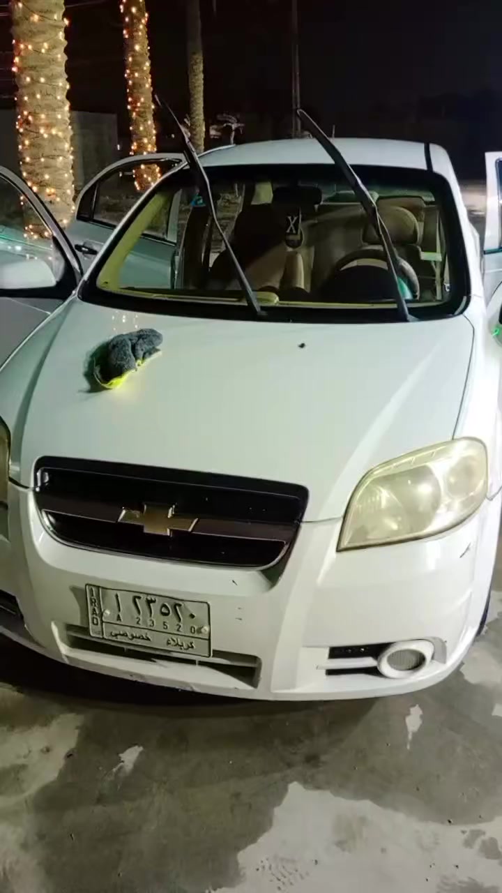 سلام عليكم افيووو خصوصي مديل10بيهه قطعتين صبغ سعر 65وبيه مجال حق جيه لاستفسار ***********
