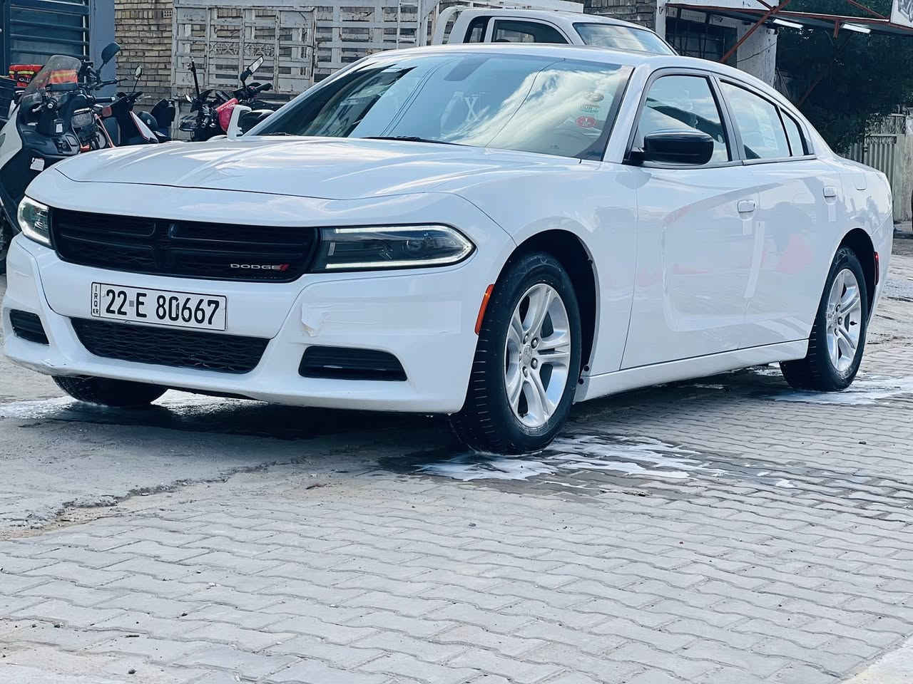 للبيع فقط بدون مرواس
 موديل 2023
سياره ماشتخله خط بحالت وكاله
سونار مرافق مع صور 

مكان بغداد بلديات 

رقم الهاتف ***********

بيع فقط
