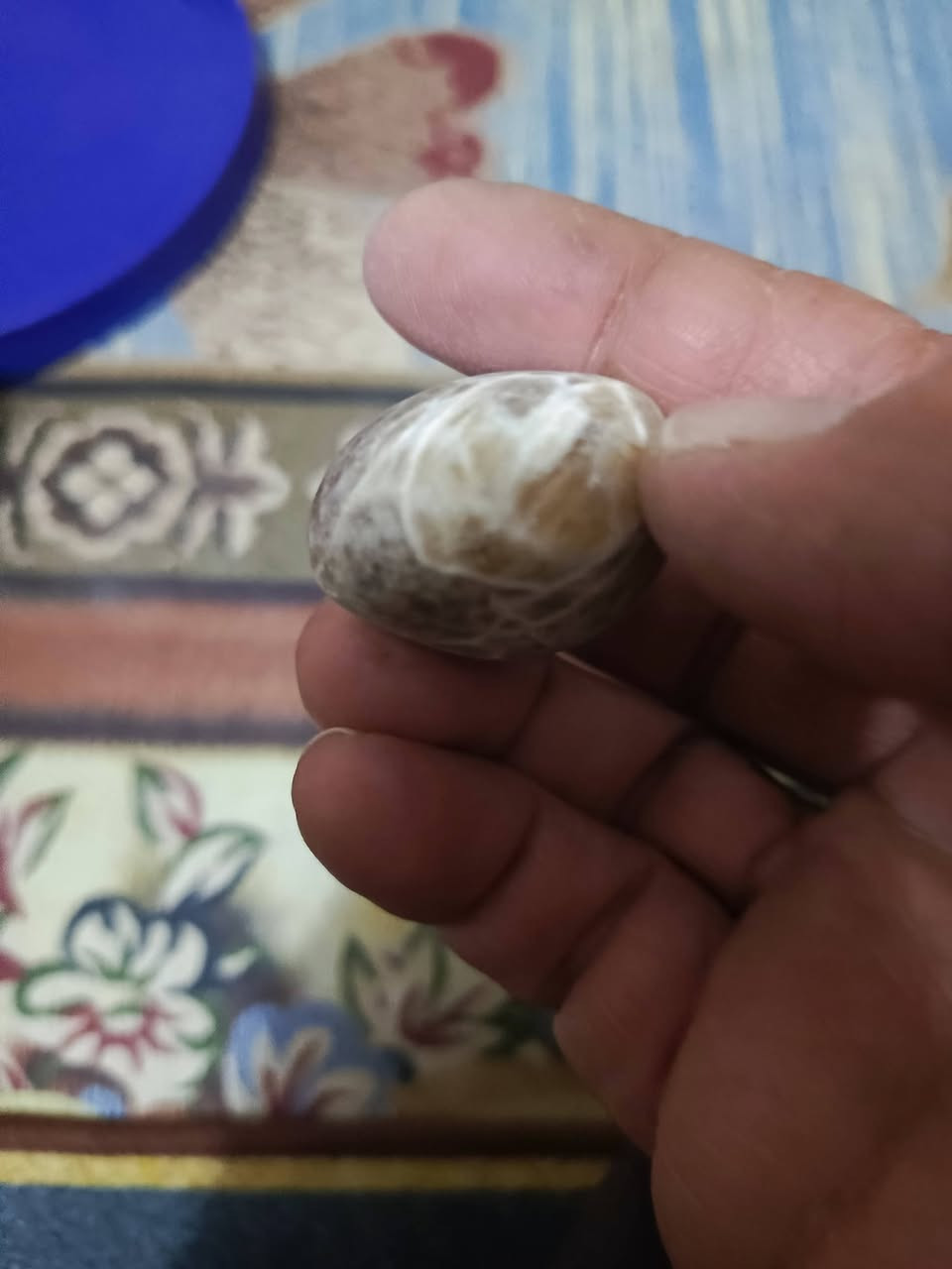 عقيق شجري چراخة البارحة ٢٥ الف كلهة مصورة


**إذا كنت صاحب هذا الإعلان وتريد حذفه لأي سبب، رجاءا أرسل رسالة إلى الدعم الفني**