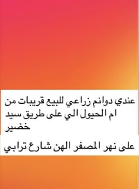 للبيع • ام الحيول