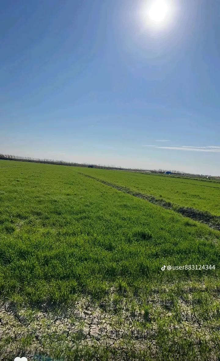 ارض زراعيه للبيع المساحه ٤٠دونم في محافضت واسط في منطقت الدخنه على نهر الكلال مباشر يوجد بأرض كرفان للسكن ومحرك ماء متوفر شتاء صيف للاستفسار اكثر اتصل ***********
