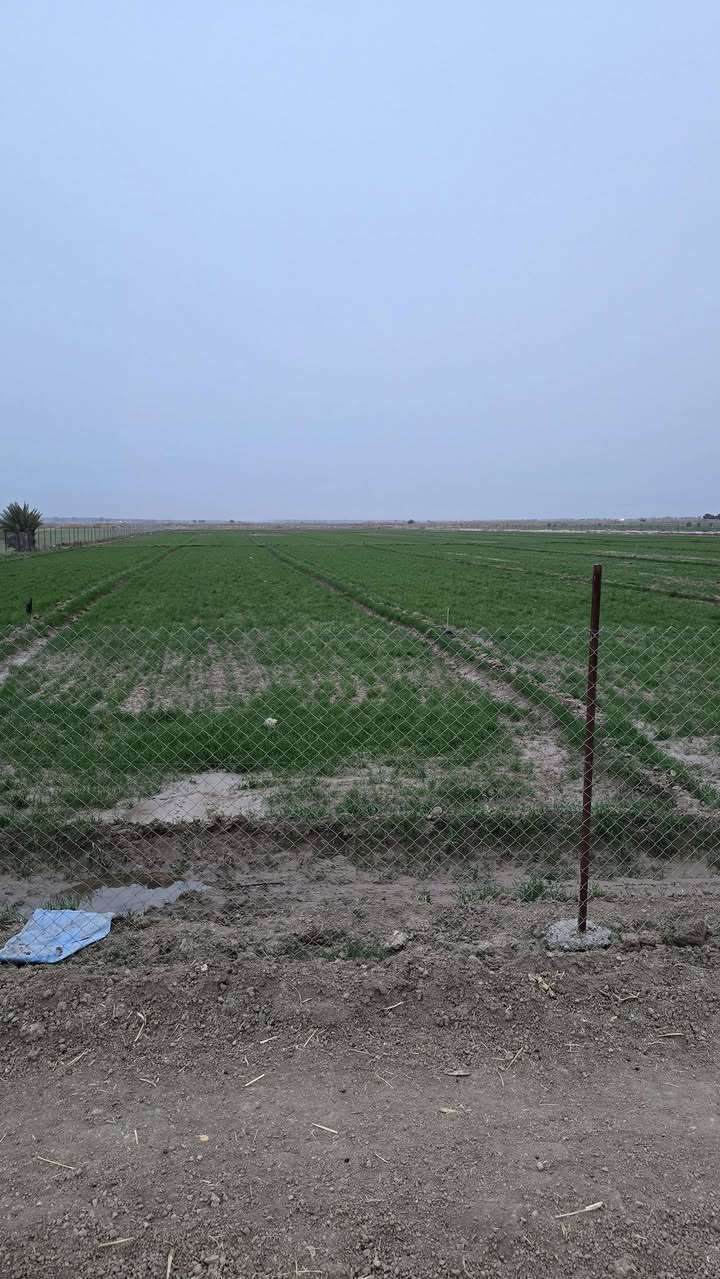 #للبيع #للبيع #بسعر #مناسب

فرصه استثماريه لا تعوض 🍁🍁🍁

تريد أرض زراعيه وبسعر مناسب  🌴🌴

 جبنالكم عرض مميز  وبسعر مناسب جدا واحلئ💐
مايكون بهذا العرض هوه المنطقة والجيران الطيبة والهدوء 🍀🍀🍀🍀🍀🍀🍀🍀

 #للبيع ١٧  دونم🌴🌴🌴
طابو سند ٢٥ 🌏🌏🌏🌏

مثبتة حددوها ومسيجة بالكامل 🏛

واجه ١٢٥ متر 🌏
نزال ٣٤٠  متر 🌏

   تتوفر كافة الخدمات فيها 🍂🍂🍂

الارض مغروسه هذا الموسم حنطه 🍂🍂🍂

  كهرباء وماء اساله وماء سقي 🍀🌴🌴🌴🌴

  طريق مستقل مؤدي الى الارض🏕🏕🏕🏕

باقي التفاصيل موضحه في مقطع فيديو والصور  مع مرتسم الارض 📷 

الموقع بابل قضاء المحاويل طريق علي ابن الحسين منطقة العواره قرب الساده العرد 🌹🌹🌹

🌿🌿🌿🌿🌿🌿🌿🌿🌿🌿🌿🌿🌿
للإستفسار اكثر او معرفة السعر يرجى مراسلتنا او  الاتصال على الارقام التاليه او زياره مكتب عقارات اراضي المحاويل الكائن في قضاء المحاويل حي ١٧ قرب مقهى الصياد القديم 
*********** / *********** حسين أبو شمس
