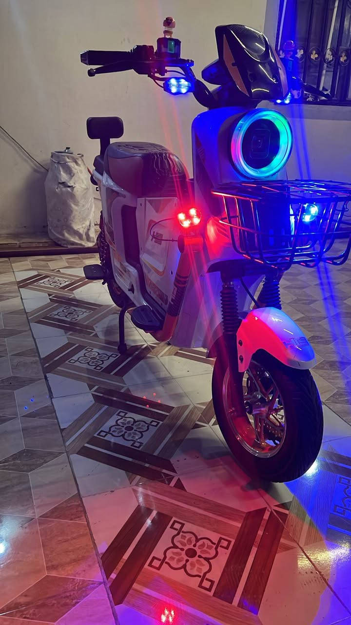 البيض سعره ٤٥٠ الزيتوني سعره ٥٠٠ شرط الفحص ثنين هم مكان كركوك ***********
