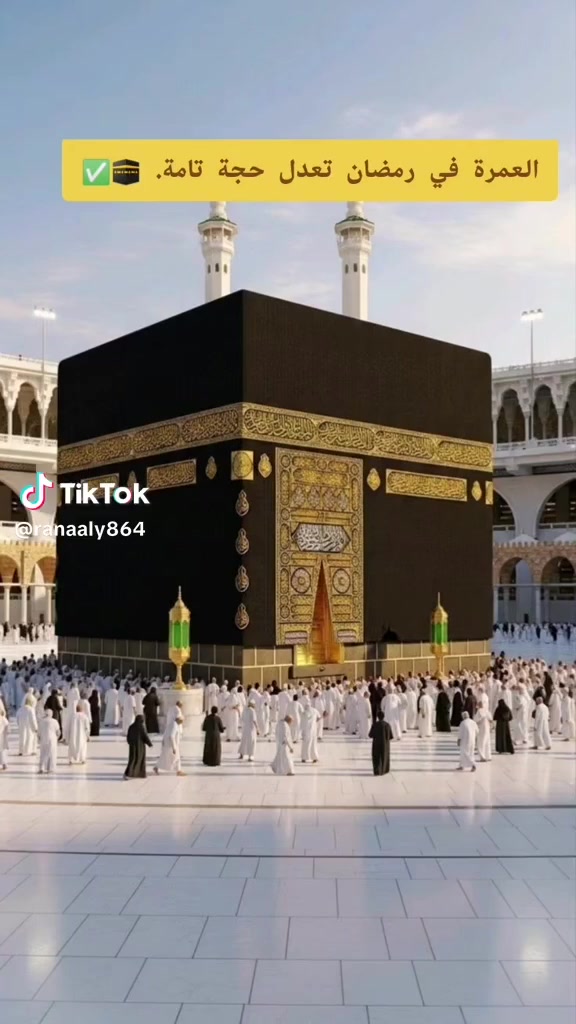 يعلن مكتب الحاج ابو صلاح الاتروشي عن عمره البدل عن العاجز والمتوفي شرط مقاطع فيديو مع شهاده مع مصحف مع ماء زمزم السعر ٤٠ الف@ رقم الهاتف ***********
