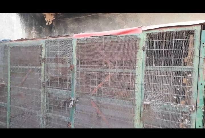 برج للبيع واجهيه وصفاحيه وسقف بلاويد وترايش ،البرج تفصال ب١٥٠ العنوان بغداد ابوغريب حي رساله ***********
***********
