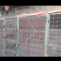 برج للبيع واجهيه وصفاحيه وسقف بلاويد وترايش ،البرج تفصال ب١٥٠ العنوان ...