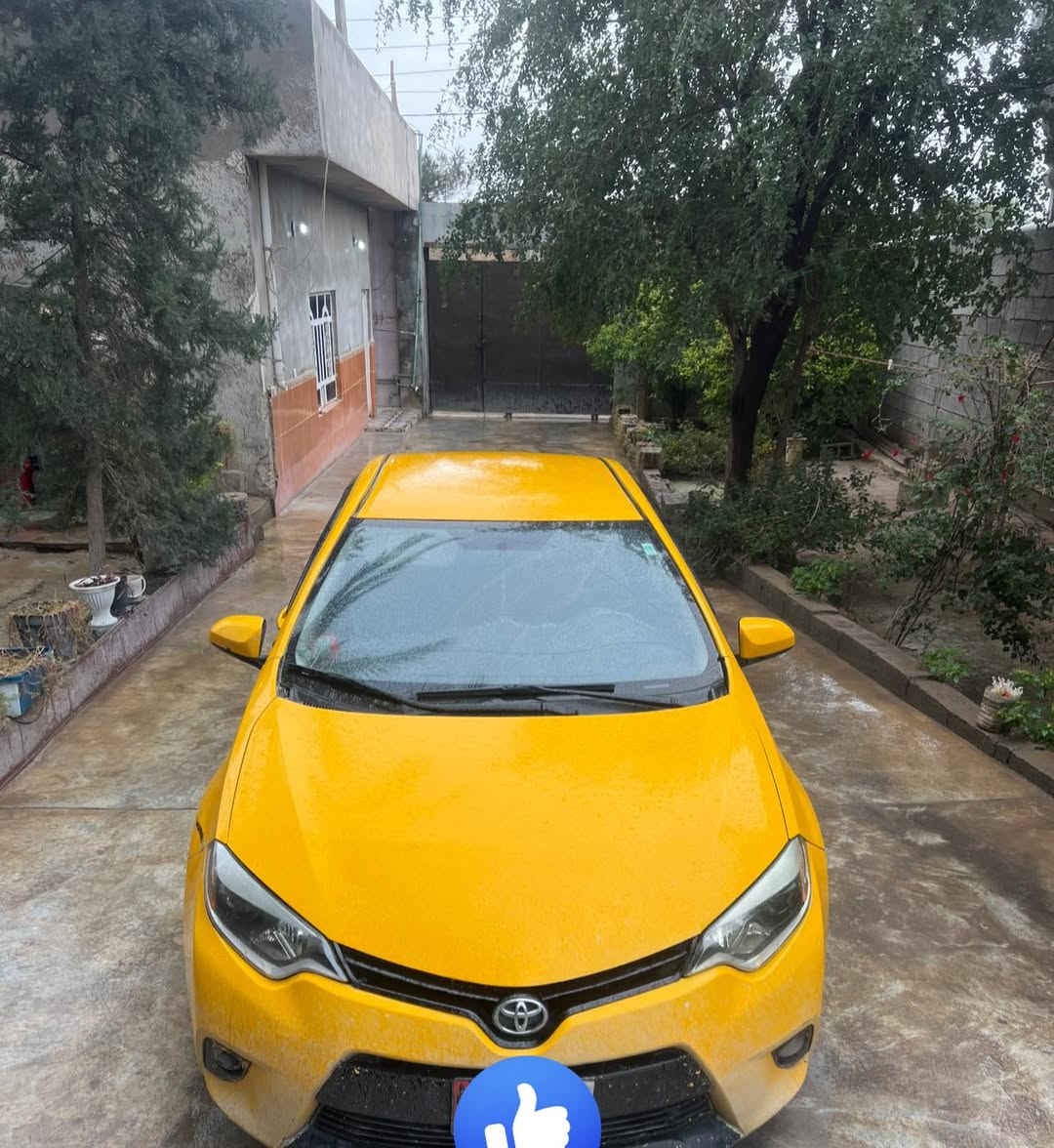 كورلا 2014 le للبيع
رقم سيارة ديالى مشروع وطني سنوية ماساقطة باسمي 
هيئة مصفرة 
كير جديد مال2020 شادلها ومحرك مابي تنقيص 
منضومة غاز 
تخم تاير جديد 
حادثها جامرلغ وراس البونيد بدون تبديل بدون دواخل وبيها بارد شبر هم  سونااار مابيها ماماخذلها
السعر 125 مكان سيارة ديالى جلولاء 
***********
