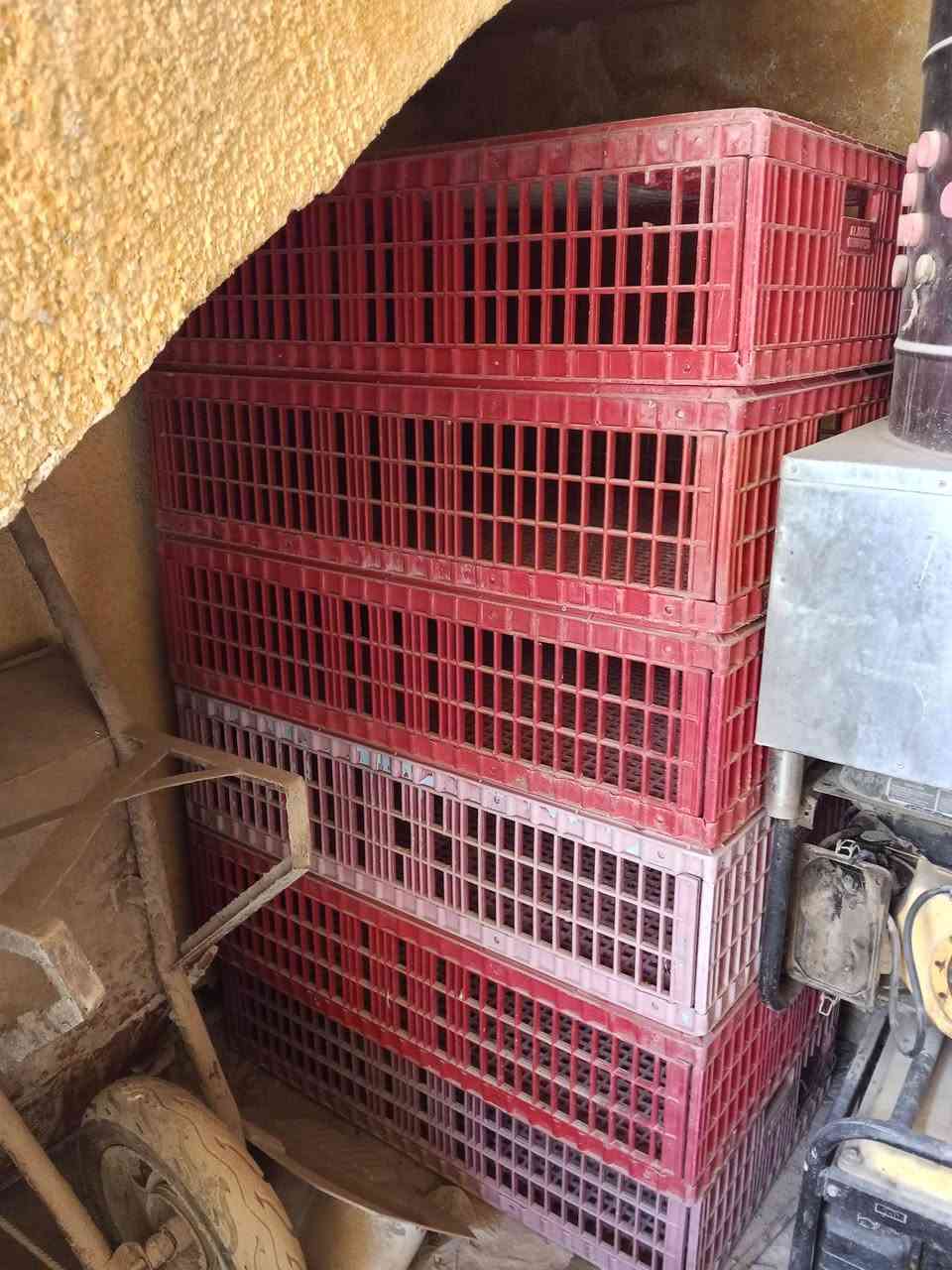 سلام عليكم غراض محل دجاج هلسه مع مولده حجم 2 ونص مع صناديق 15  العنوان بغداد  الزعفرانيه ***********
