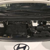 ستاريا • ٢٠٢٥ • ١١ راكب