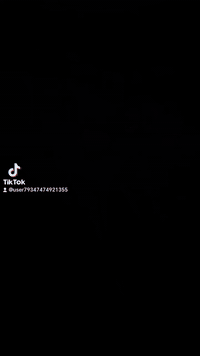 موديل ٢٠ • أوراق كاملة • ما به نقص