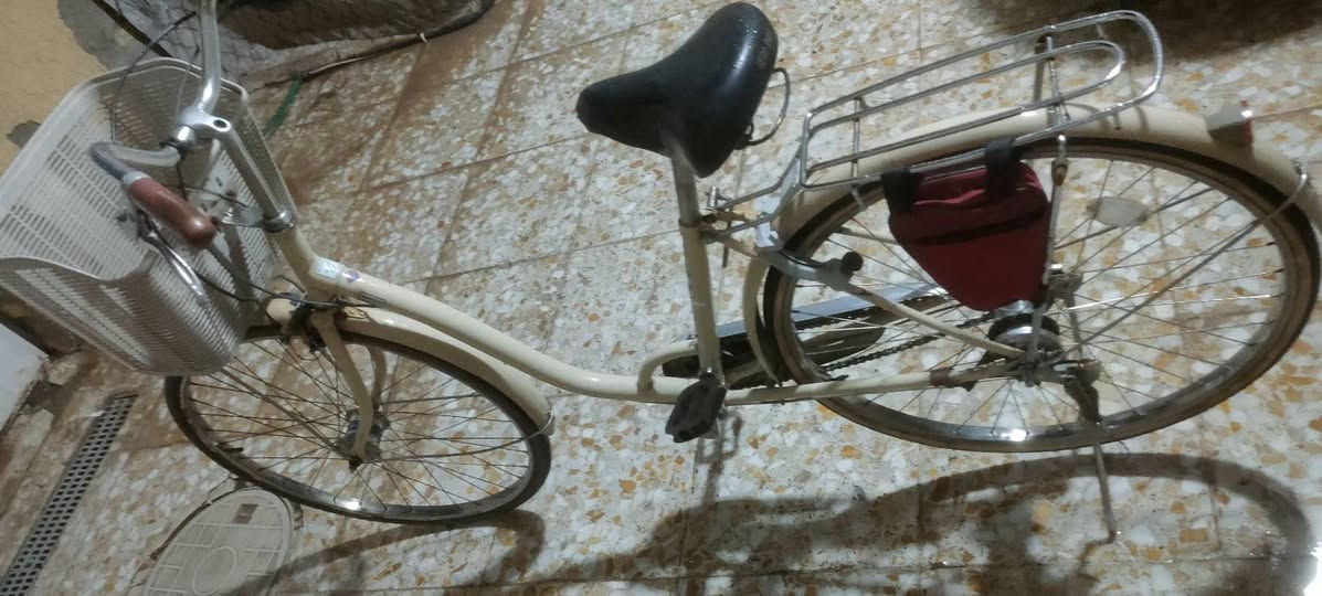 بايسكل بناتي ياباني نوع باناسونيك . حجم 27بناتي بلادي موضح بالصور قفل شركه وحساسات اضويه.كامله السعر 90الف الشراي يدخل خاص مكاني الحسينية راشديه


**إذا كنت صاحب هذا الإعلان وتريد حذفه لأي سبب، رجاءا أرسل رسالة إلى الدعم الفني**