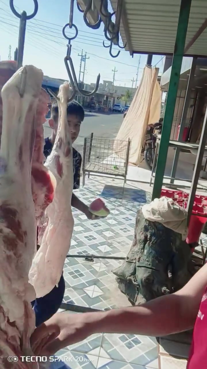 السلام عليكم يوجد لحم محل اخوكم ابو جاسم ذبح العصر وانا بخدمتكم جميعا ***********
