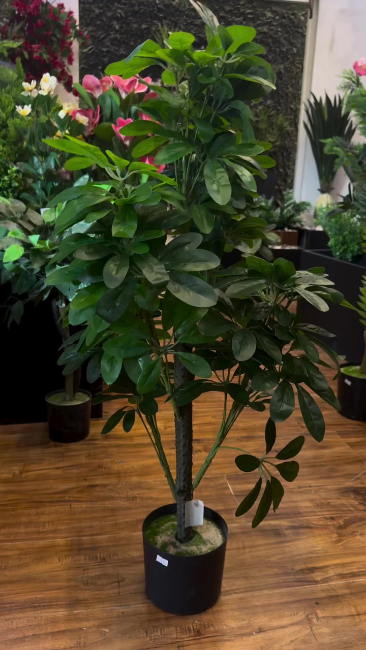 🌿✨ شركة الشارقة للديكور ✨🌿
تقدم لكم أجود أنواع النباتات الصناعية
والسنادين المصنوعة من الفوم التركي الأصلي 🌱
🌟 جودة عالية
🌟 تصاميم عصرية تناسب جميع الديكورات
🌟 خفيفة الوزن ومقاومة للعوامل الجوية
🌟 بأسعار منافسة ومناسبة للجميع
📍 يتوفر توصيل
📞 للحجز والاستفسار ***********
