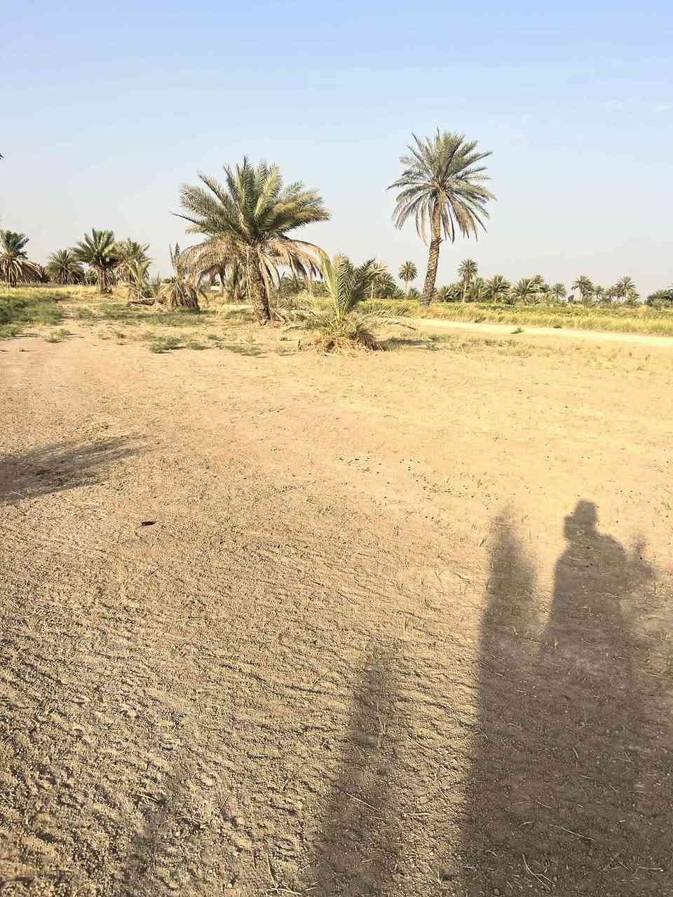 قطعه ارض ل بيع المساحه 500م خلف جامعه بابل منطقه حي السجاد القطعه ب اسمي تحويل مباشر ***********
