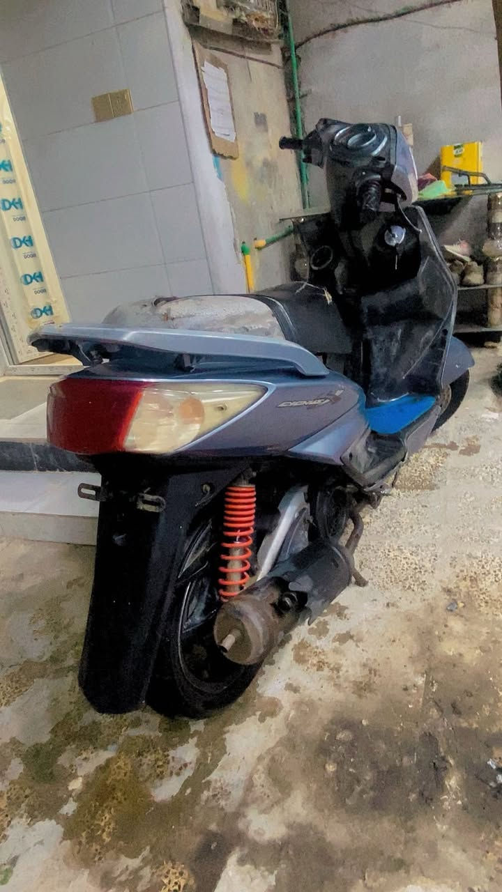 سلام عليكم  سكنس فحل البيع سعر ٦٥٠وبيهه مجال بكاني بغداد سبع قصور  الخاص مفتوح*********** الرقم بي  وتساب
