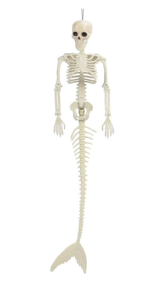 هيكل عظمي حورية البحر
الهيكل مفصلي من يم الفك و كف الأيد والعكس والكتف والحوض 
الطول ٨٢ سم 
واتساب ***********
السعر ٢٥ ألف
التوصيل حلة مركز ٣ آلاف اقضية ونواحي ٤ آلاف بغداد ٥ آلاف باقي المحافظات ٦ آلاف
