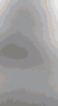 درجه بطه للبيع سعر 350بيها مجال التواصل على رقم 07867695580