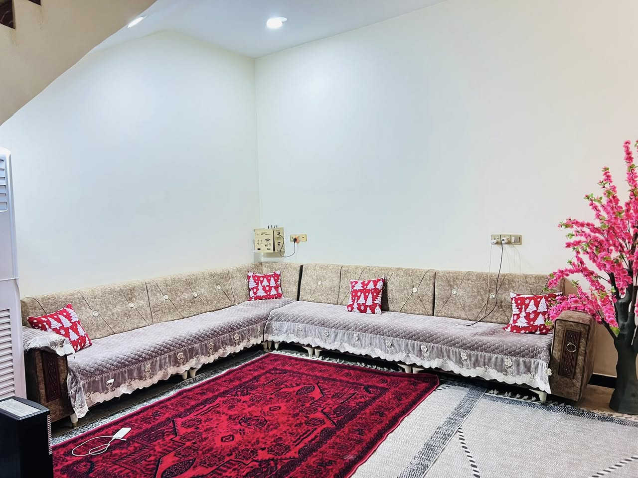 تخم ديوان  جديد ونظيف  سعر مناسب للاستفسار الاتصال ***********لمعرفة كافة التفاصيل
