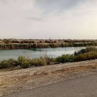 ٢٠ دونم • سند مستقل • طابو زراعي