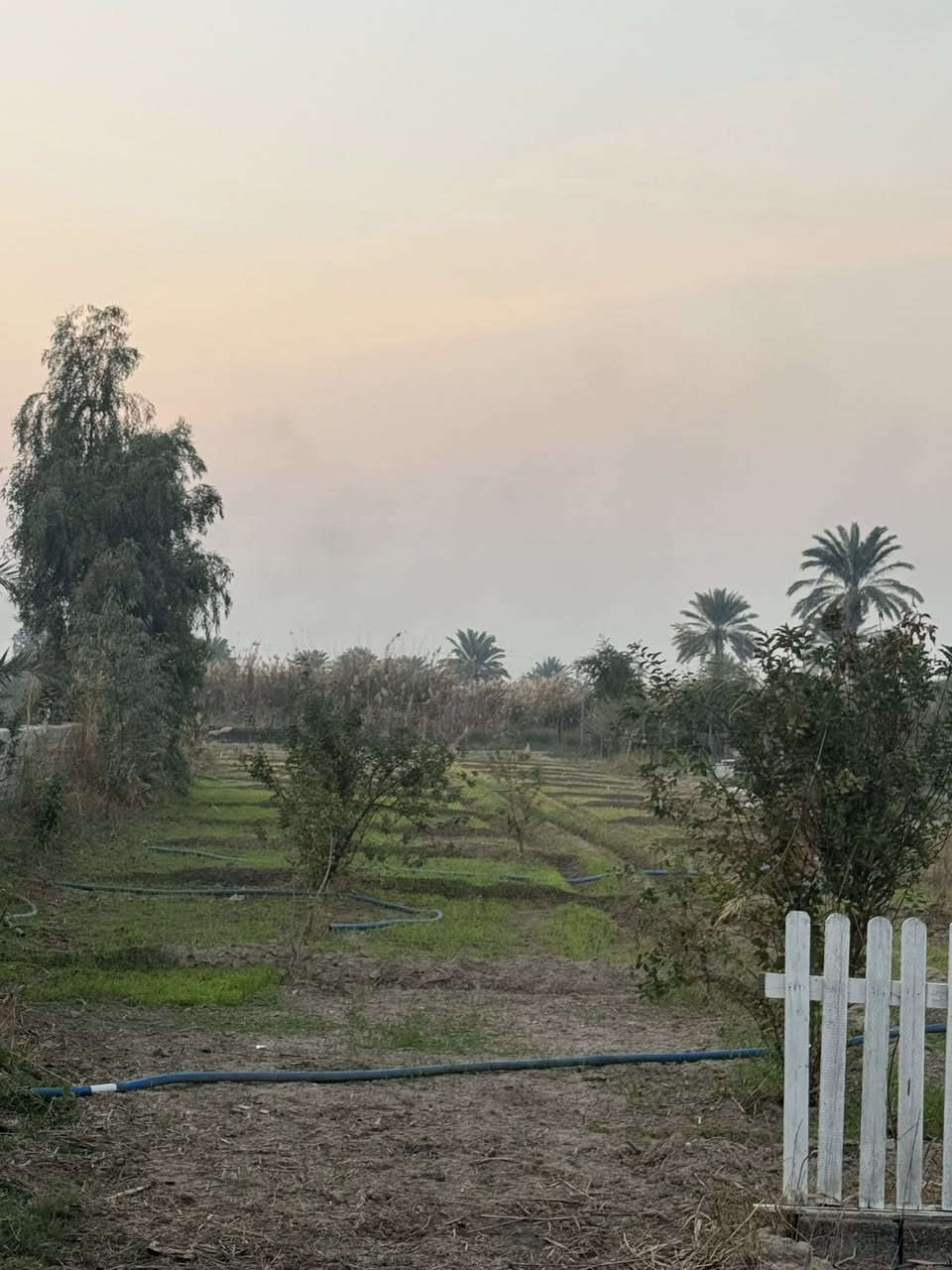 🌾دونم ملك صرف  جسرديالى التويثة📍 
 وجه ١٩نزال١٣٥📏
كامل خدمات ماء كهرباء تبليط فتح بيان ثاني يوم 
استفسار اكثر ***********
#مزارع #دوانم #شاليهات
