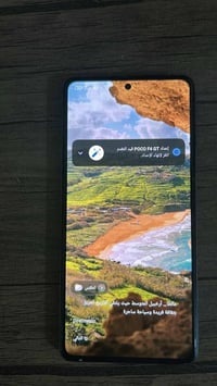 بوكو F4 GT • ٢٥٦ • اربيل