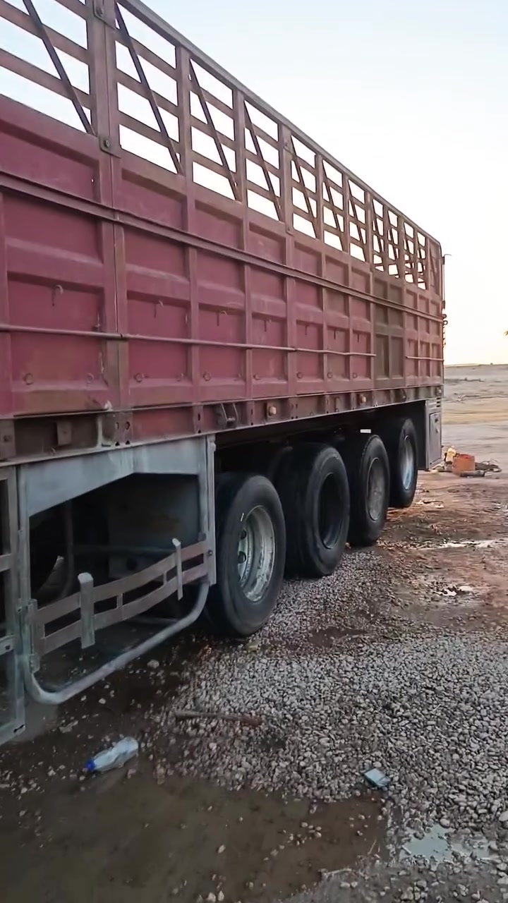عربانه جاهزة للشغل شاصي 16 دناكير 4 تواير فوك النص عمرهن بس تربط وتتوكل المكان الأنبار رقم هــــــاتــف) (***********)
