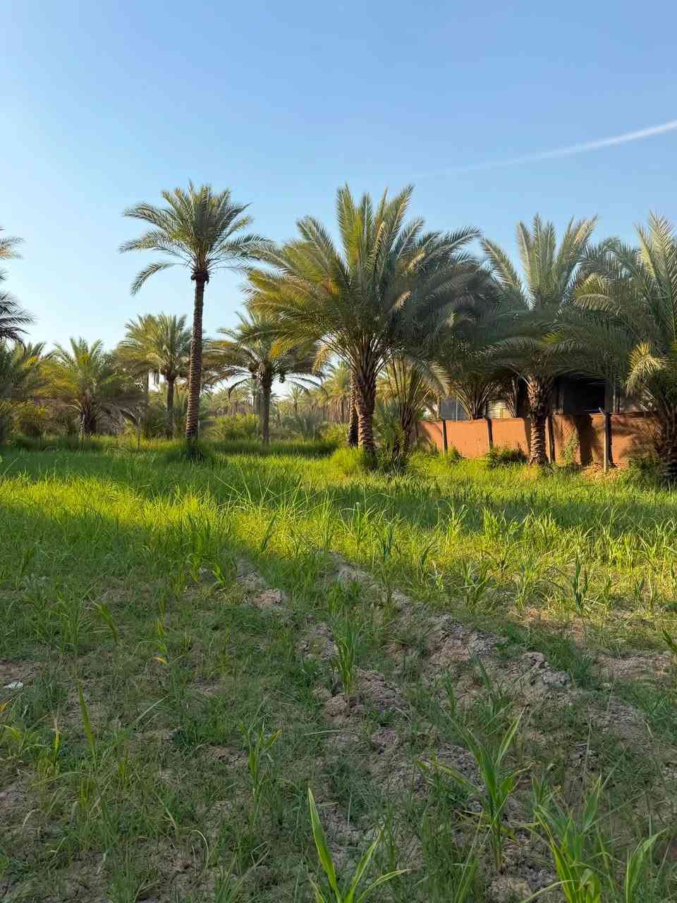 فرصتك لامتلاك الرفاهية 💎
لكل من يبحث عن التميز 

والهدوء، نقدم لكم عقاراً 

بمساحة (1.300 ألف ):!

[كربلاء المقدسه منطقه العسافيات   ].​

​لا تفوت فرصة المعاينة 

 على أرض الواقع!🏝️🍇🍏🍊🍋🍑

 السعر (115) مليون 

للمزيد من المعلومات:

مكتب كربلاء للعقار 

***********

***********
