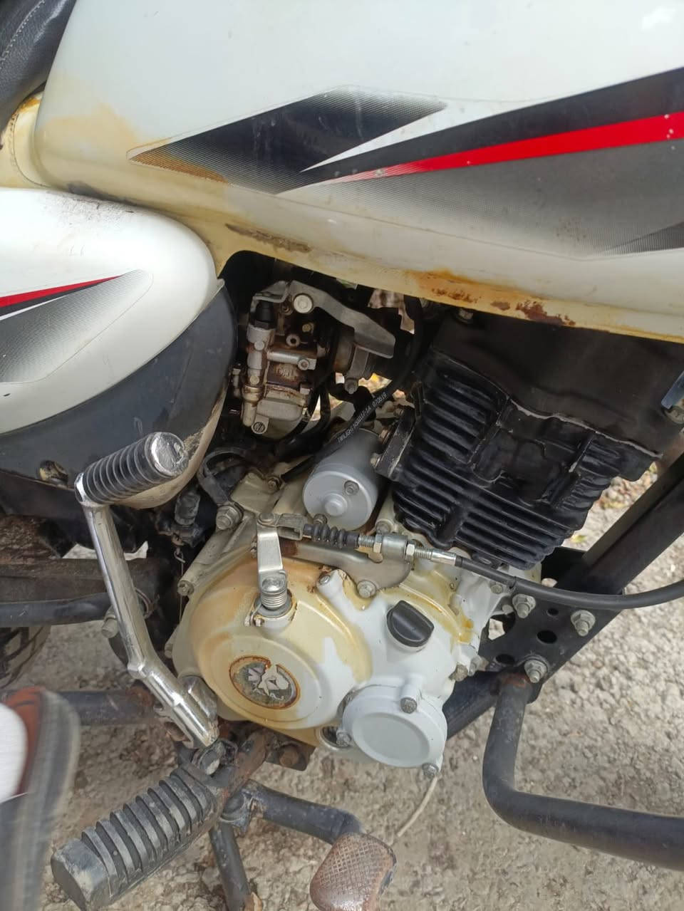 سلام عليكم دراجة بوكسر للبيع موديل21الدراجة الدراجة متروكة الكشر موضح بل صورة وكابريتر تعبانه يرادلهة ترتيب بصيط المحرك مجفت وخير من الله السعر 750وبيها مجال مكان الدراجة بغداد جسر المثنى***********واتساب فقط
