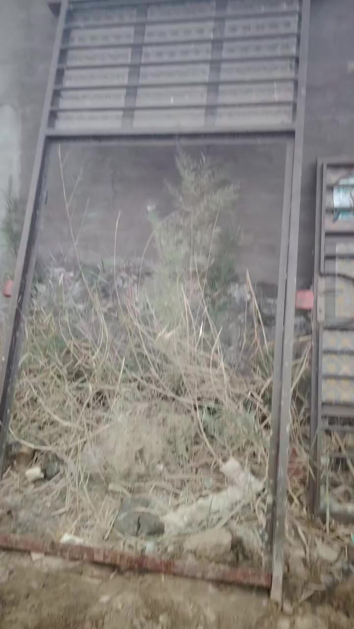 باب وربع للبيع
باب وربع ارتفاع 3 متر عرض 140 سم مستعلمه نضيفه جدا مع الجام و الكيلون جاهزة فقط قطعة جام مكسورة
السعر 200 الف
***********
بابل القاسم
